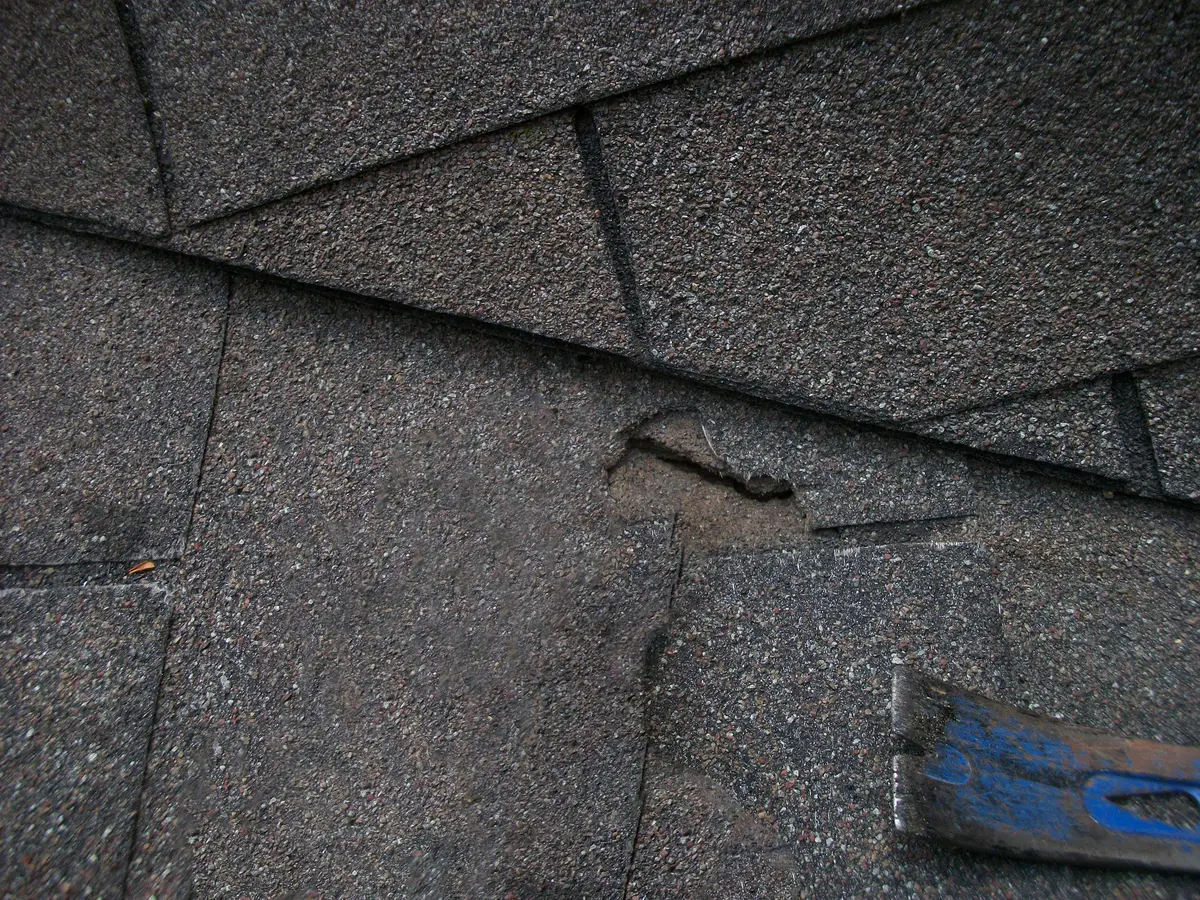 Torn asphalt shingle exposing the layer underneath