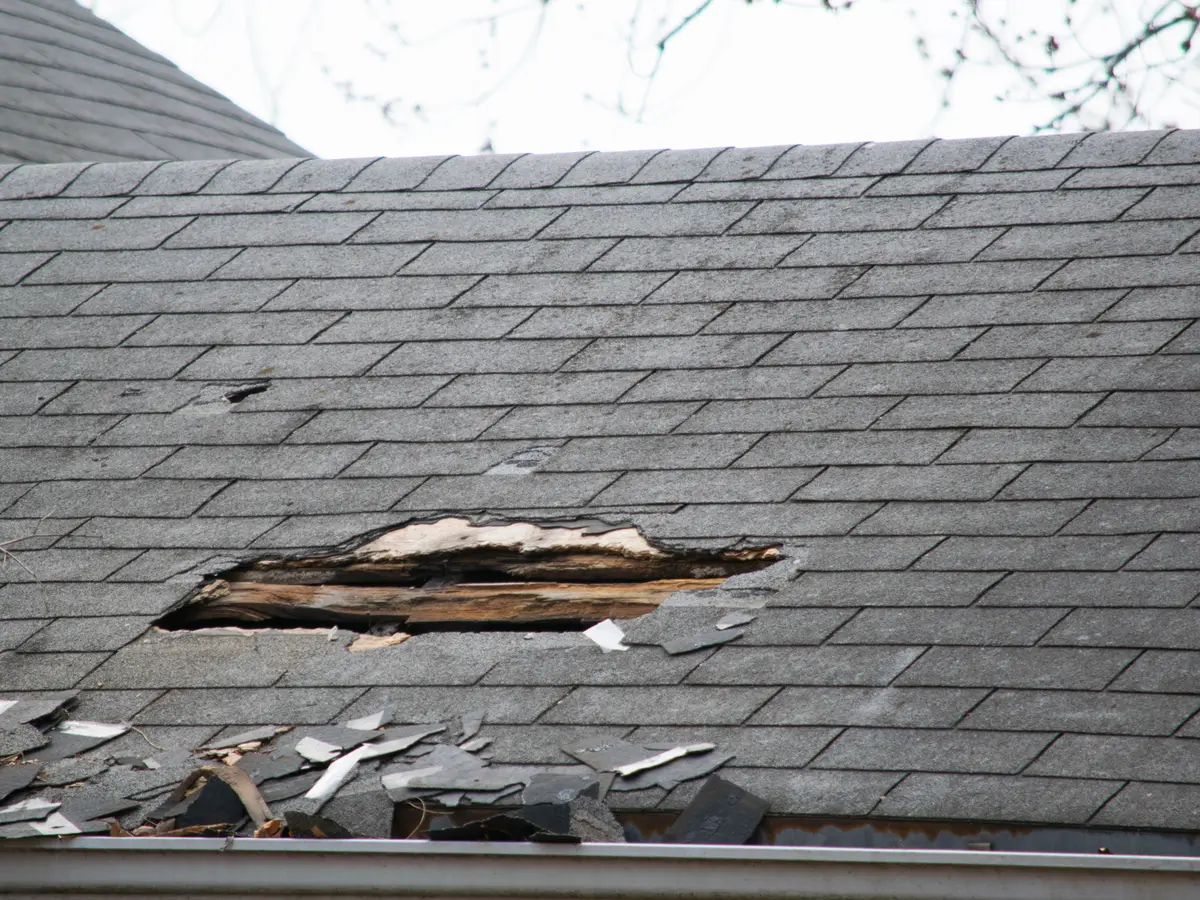 Hole torn through the shingles of a pitched roof
