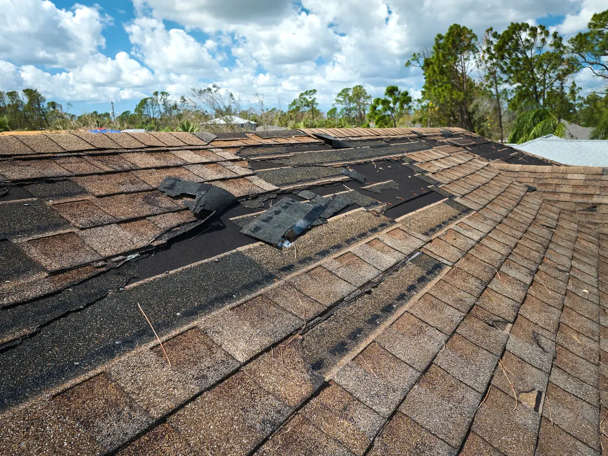 Storm-damaged shingle roof with missing and torn shingles